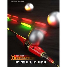 주한피싱 주야겸용 스마트찌 2번 낚시찌, 1개, TM-R11