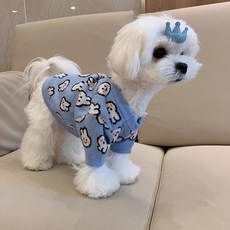 ZooPark 강아지 토끼 니트 포근 애견스웨터, 1개