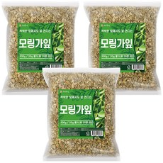 건강중심 말린 모링가 잎 건조, 3개, 300g, 300g
