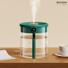 바이윤 usb 미니 가습기 사무실 무소음 독서실 휴대용 차량용 소형 원룸 통세척 듀얼 1.5L 습도액정, 그린