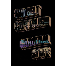 (영문도서) Sunbelt Capitalism and the Making of the Carceral State Paperback, University of Chicago Press, English, 9780226838427