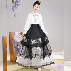단아한 여성 계량 점사복 한푸 생활 퓨전 선녀복 신복 가을 말 얼굴 스커트 정장