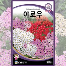 세계종묘 산들마켓 야로우 씨앗 200립 야로우 꽃씨 허브 종자, 1개