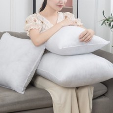 빵빵한 쿠션솜 베개솜 구름솜 리필 충전재 압축 솜 속통, 1개, 라이프원 55 x 55