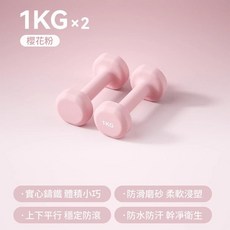 實心鐵小啞鈴 體積小巧, 1個, SST鑄鐵啞鈴丨一體成型-1KG丨櫻花粉,一對裝