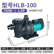 수족관 수영장 어항 양식장 순환 수중 펌프 HLS, 220V, HLB100 0.75KW, 1개