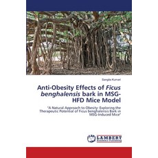 (영문도서)Anti-Obesity Effects of Ficus benghalensis bark in MSG-HFD Mice Model Paperback, LAP Lambert Academic Publis..., English, 9786208065362