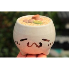 로나가든 리톱스모듬 3종(캐릭터화분) 희귀다육이 반려식물 코노피튬 선인장