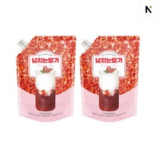 네이쳐티 넘치는 딸기 베이스, 1kg, 2개