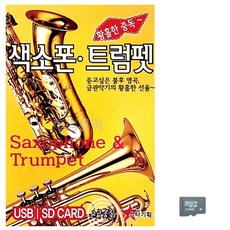 트럼펫 색소폰 연습용 악기세트 관악기 구성품