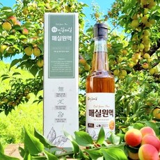 기타 [광양진실매실] 진실매실 매실원액 500g x 1병, 1박스