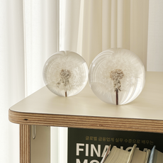 민들레문진 홀씨 paperweight 책 누르개 생화 플라워 꽃, 소