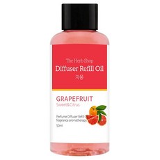 더허브샵 송풍구 차량용 디퓨저 방향제, 1개, 리필 자몽