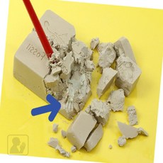 꼭필스 3D 공룡화석발굴키트 8개입 야광 공룡모형세트