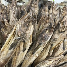 대원건어물 특대 통북어 진공 포장 명주실 세트 고사용 만사형통, 1개, 만사형통 통북어 1개 단품