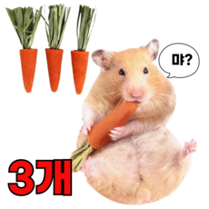 (best상품) 이갈이 당근 햄스터이갈이 토끼 기니피그 슈가글라이더 고슴도치 간식 당근이갈이, 1세트