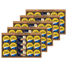 사조대림 안심특선 100호 추석선물세트, 5세트