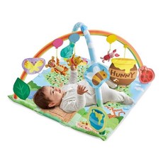 TAKARA TOMY 小熊維尼多功能遊戲墊 健力架 健身架 益智爬行墊 趴趴墊 迪士尼, 維尼地墊