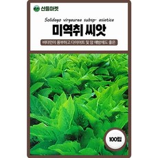 아람종묘 미역취 씨앗 100립 토종 미역취씨 약초 종자, 1개