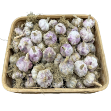 [자연바구니] 25년산 햇마늘 대서마늘 1개, 대서마늘 (5kg) 소