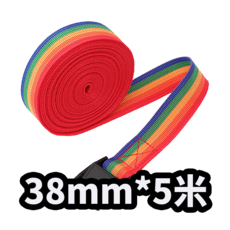 自行車貨物綁帶 3公尺 快速釋放扣 尼龍材質 行李固定帶, 彩虹5M, 1個