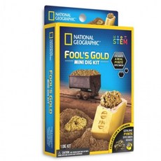 화석 발굴 키트 금 캐기 놀이 장난감 어린이 소, 1개