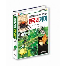 韓國的蜘蛛, 南宮準, 敎學社