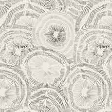 Micpolo 필 앤 스틱 벽지 보헤미안 벽 페이퍼 모던 스트라이프 콘택트 침실 욕실 화이트 및 블랙 탈착식 자체 접착 장식 비닐 롤 43.9cm x 500.4cm(17.3인치, 화이트와 블랙