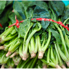 (산지직송) 남해 시금치 남해안 보물초 산지직송, 1박스, 500g