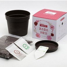 화분재배키트 식물 꽃집사 꽃 시리즈 반려식물, 맨드라미