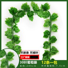 仿真葡萄葉藤蔓 爬山虎藤條 常青藤 葉子綠蘿植物假綠葉吊頂裝飾 綠植裝飾, 30葉葡萄藤（12條裝）, 1個