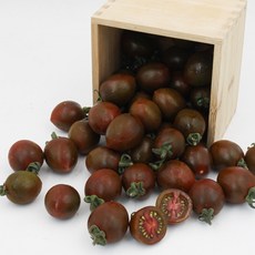 부산 대저 흑대추 방울토마토 단짠단짠, 1개, (혼합과) 500g