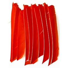 18-25CM 양궁 Fletching 화살 깃털 여러 가지 빛깔의 전체 길이 컷 없음 진짜 칠면조 DIY 샤프트 50 개, 13 orange, 1개
