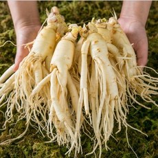 국내산 5년근 6년근 세척 난발삼 대, 200g, 1개