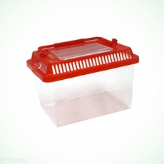 곤충 사슴벌레 사육통 잠자리 채집통 미니 관찰통 유치원 어린이집, 1개