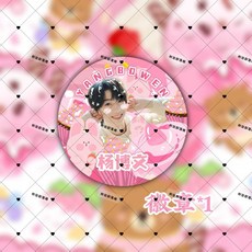 臺灣出貨2.15 TF家族四代楊博文週邊小卡明信片吧唧立得票根紀念禮包應援禮物, 1個, 楊博文徽章一個