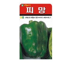 피망 씨앗