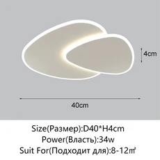 현대 LED 천장 조명 샹들리에 거실 다이닝 룸 연구 통로 홀 홈, Round-40CM / Cold White