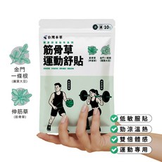 台灣本草 筋骨草運動貼布，彈性透氣，舒緩疲勞，運動防護，台灣製造, 1個, 1包