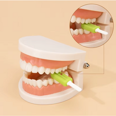 인비절라인 투명교정 교정기 아이스크림 츄이 바, 2개