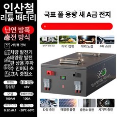 배터리 차량 밸런스 캠핑 적산계 밧데리 충전, 1개, 48v 100
