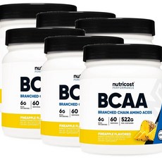 뉴트리코스트 아미노산 파우더 파인애플맛 Nutricost BCAA, 6개, 522g