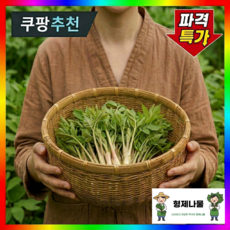 [딱지금만] 봄제철 쌉싸름한 국산 땅두릅, 1개, 2kg