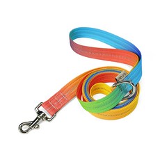 페르니 강아지 반사형 베이직 리드줄, 레인보우팝, 2M, 1개