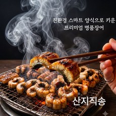 [친환경양식] 국산 민물장어 자포니카 산지직송, 1박스, 1kg