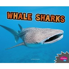 (영문도서) Whale Sharks Paperback, Capstone Press, English, 9781515770053