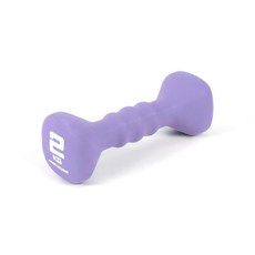 IW 네오프렌 사각 아령 2kg (2개 1세트) 미끄럼 방지, 2개