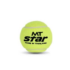 스타 테니스공 고급 경기 테니스볼 낱개 테니스공 테니스볼 테니스연습공 테니스연습용공