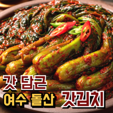 [여수직송]초록싱싱 당일제조 국내산 갓김치, 1개, 1kg