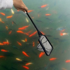 밀집망 수조 청소도구 물고기뜰채 어항정리 수생식물제거 관상어관리 실내용, 1개